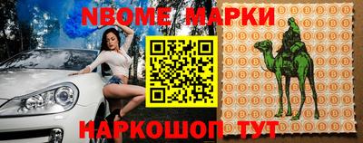 стафф Кингисепп