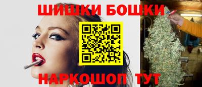 стафф Кингисепп