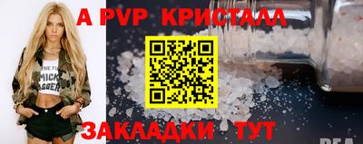 стафф Кингисепп