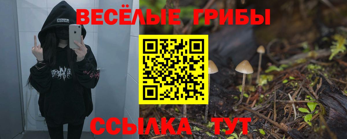 Псилоцибиновые грибы MAGIC MUSHROOMS  Вход с VPN  наркота  Крымск 
